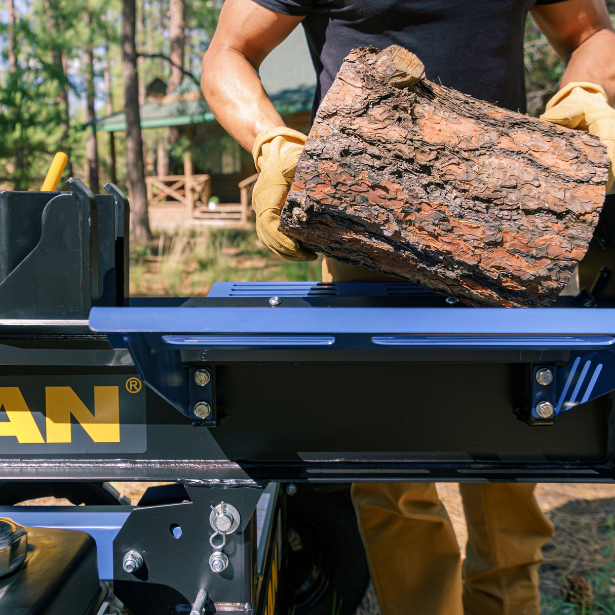 22-Ton Gas Powered Hydraulic Log Splitter