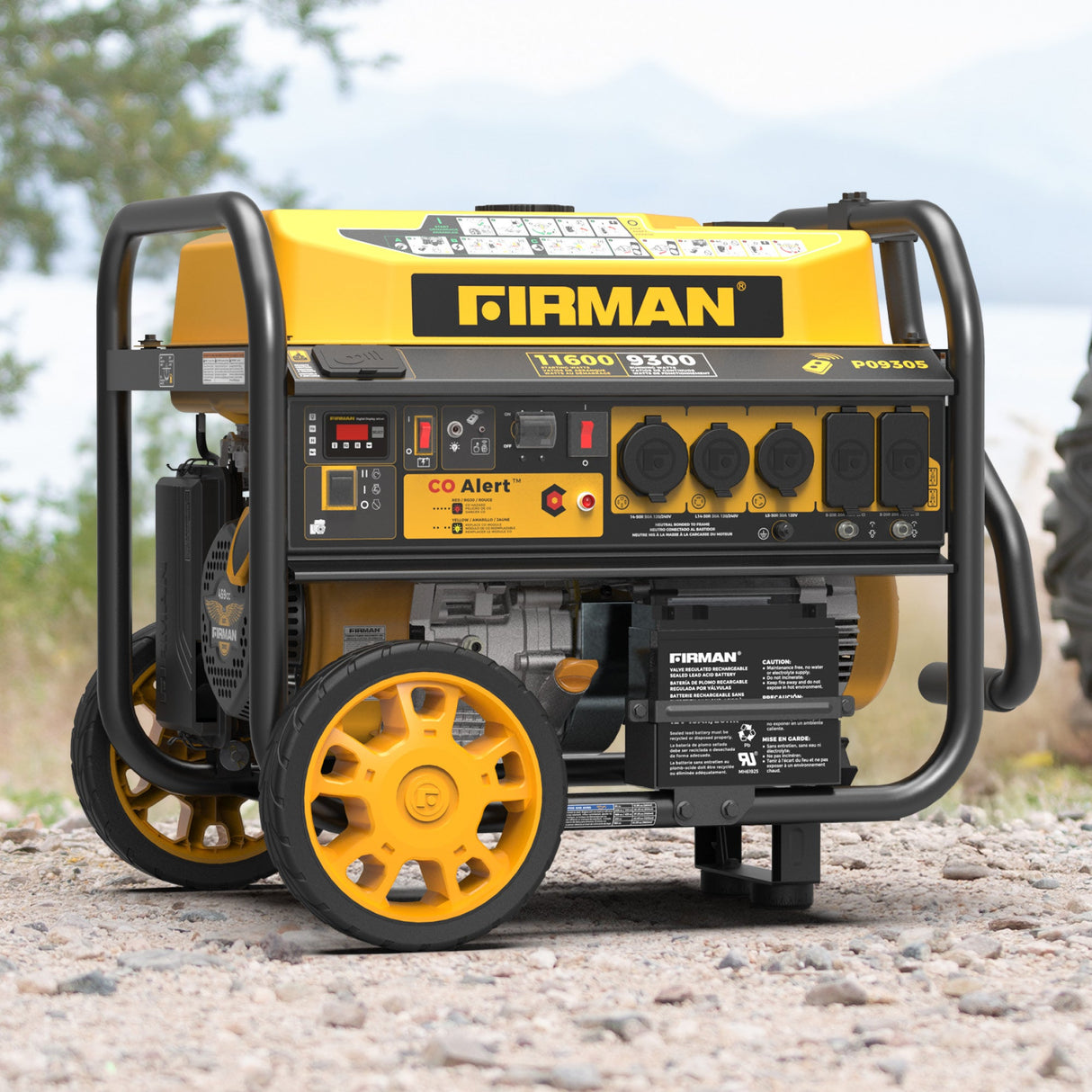 GAS PORTABLE GENERATOR 11600W REMOTE START 120/240V WITH CO ALERT