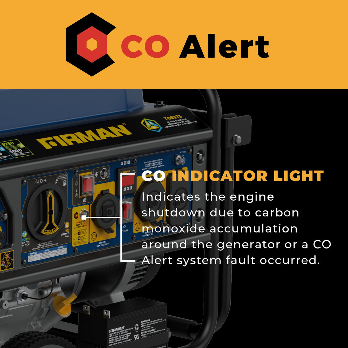 Tri Fuel Portable Generator 7850/6300W Electric Start Gas CO Alert