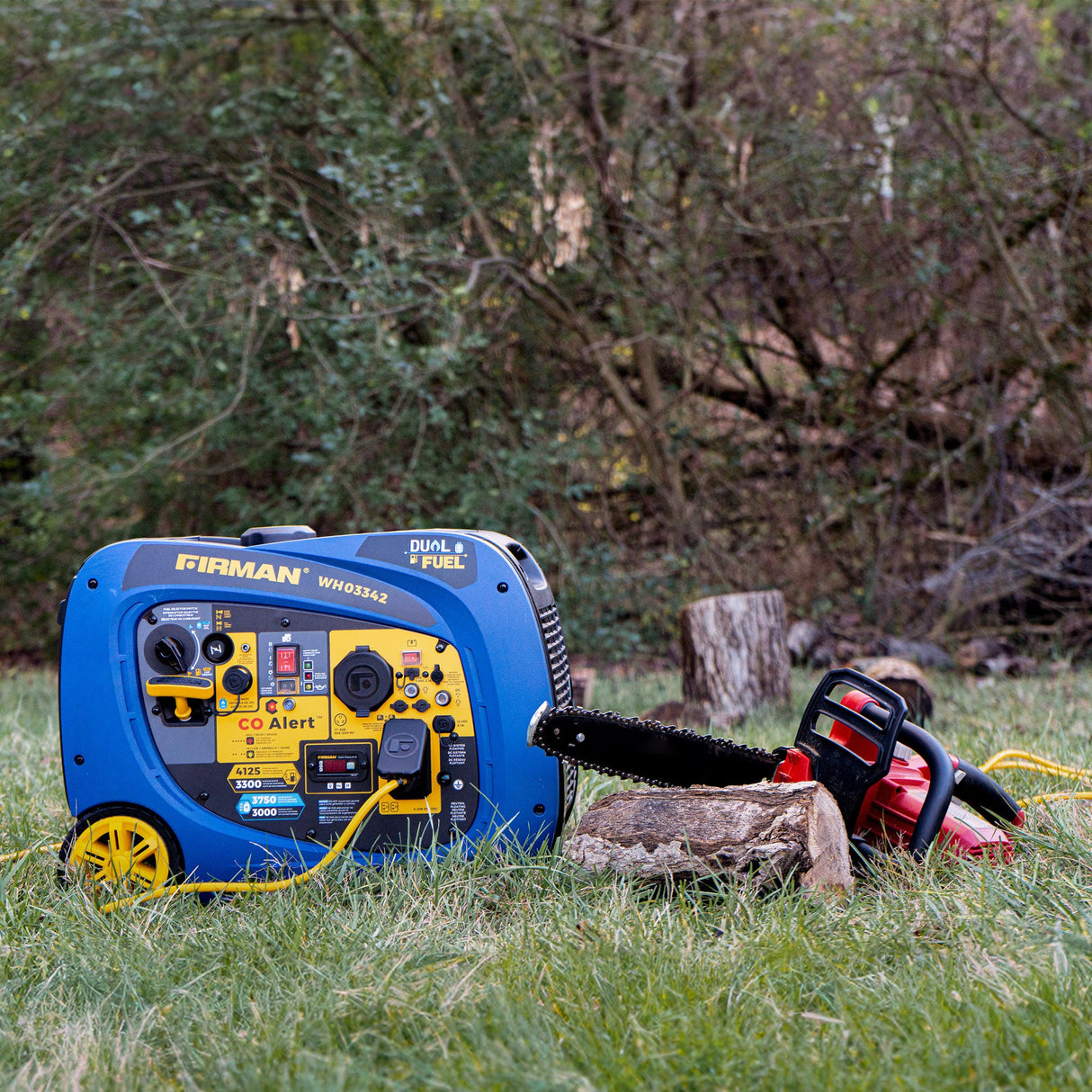 Dual Fuel Inverter Portable Generator 4125W Electric Start with CO ALERT