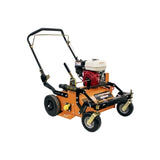Brave "U Turn" Power Rake Dethatcher | 20 In. Width | GX160 BRPPD20CWH