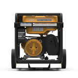 Dual Fuel Portable Generator 3650W Recoil Start