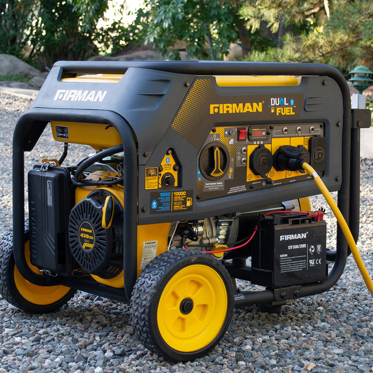 Dual Fuel Portable Generator 8000W Electric Start 120/240V