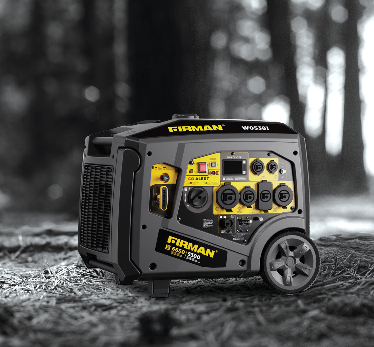 Gas Inverter Portable Generator 6650/5300 Watt 120/240V CO Alert